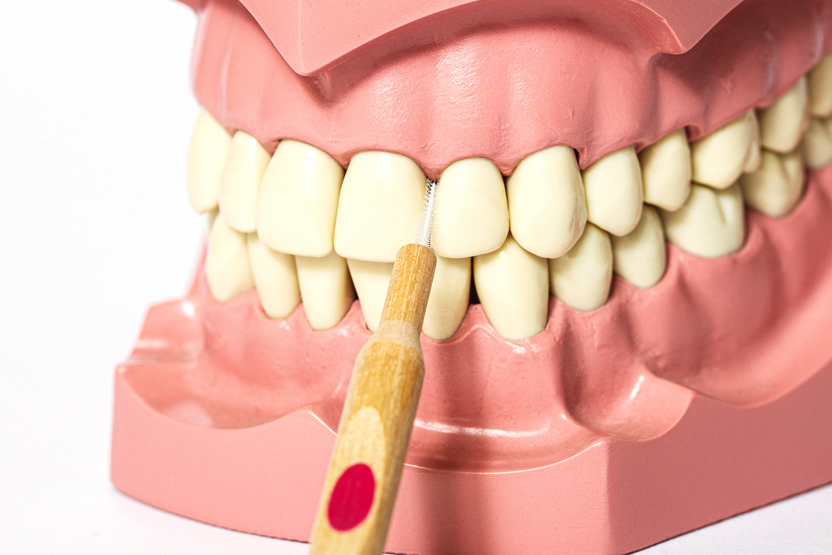 Birchwood interdental brush