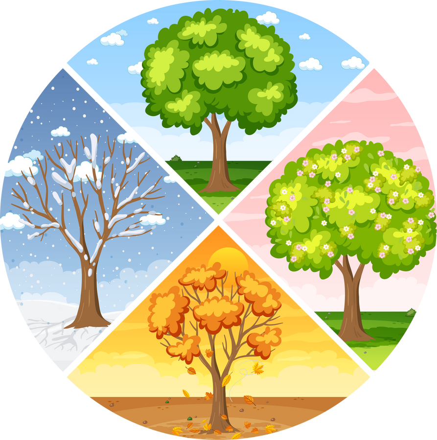 Set of Four Seasons Backgrounds